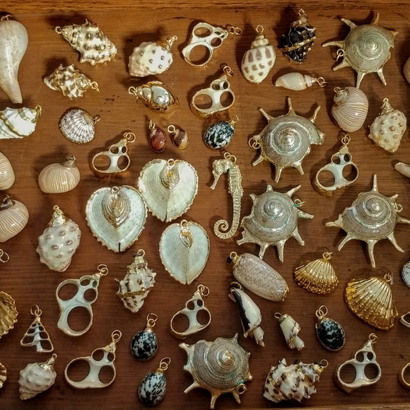 Welcome to my closet 🌹🌿 - Picture 4 of 11